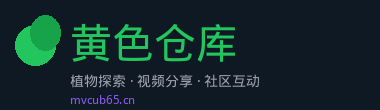 黄色仓库